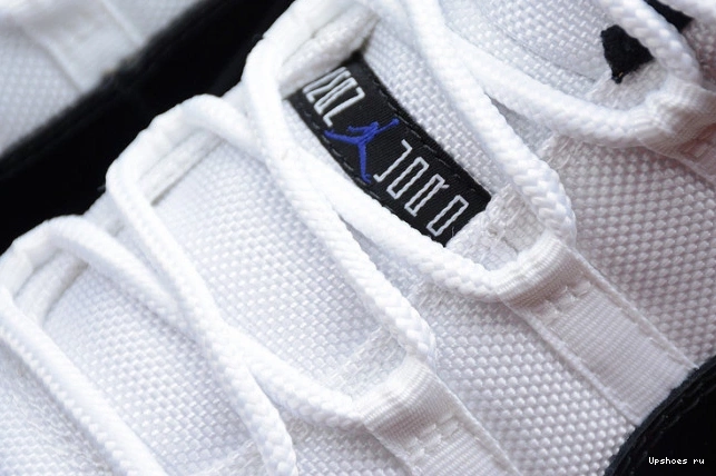 11 Jordan Concord 528895-153 Low Retro  0131